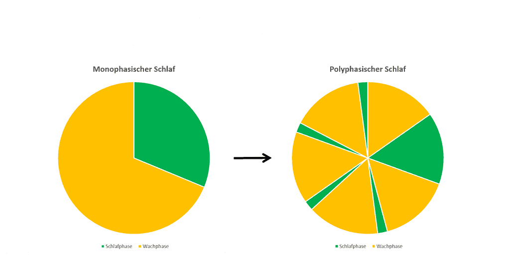 Polyphasischer Schlaf - Zeitersparnis zu Lasten der Gesundheit? 1 Visualisierung - Polyphasischer Schlaf