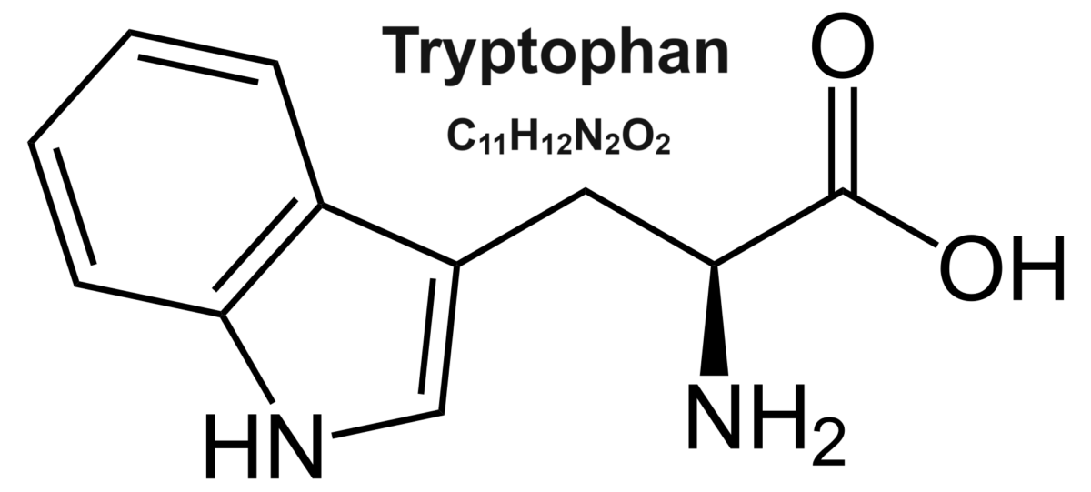 L-Tryptophan-1200x541.png